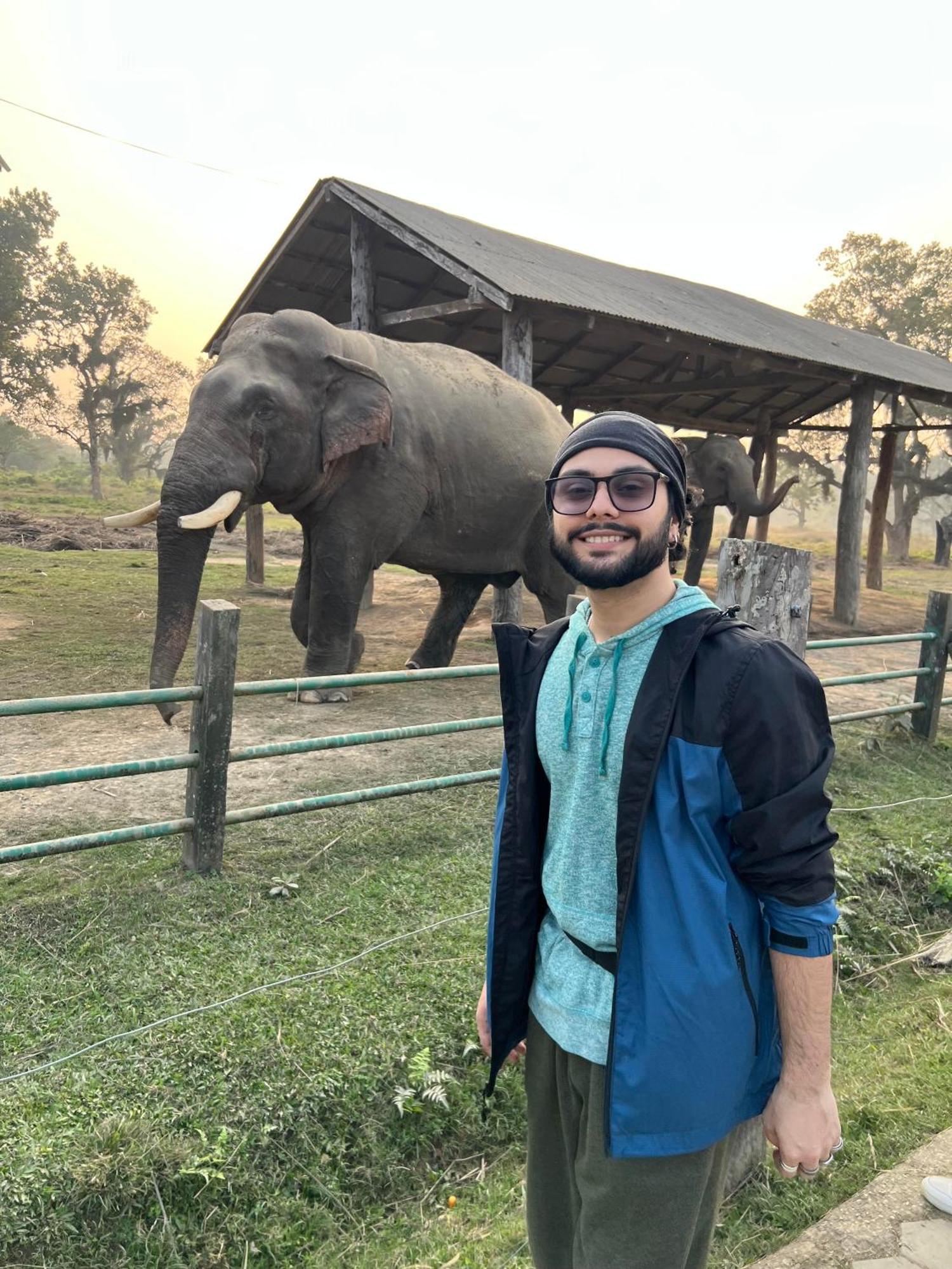 Ama Garden Sauraha Hotel Bagian luar foto
