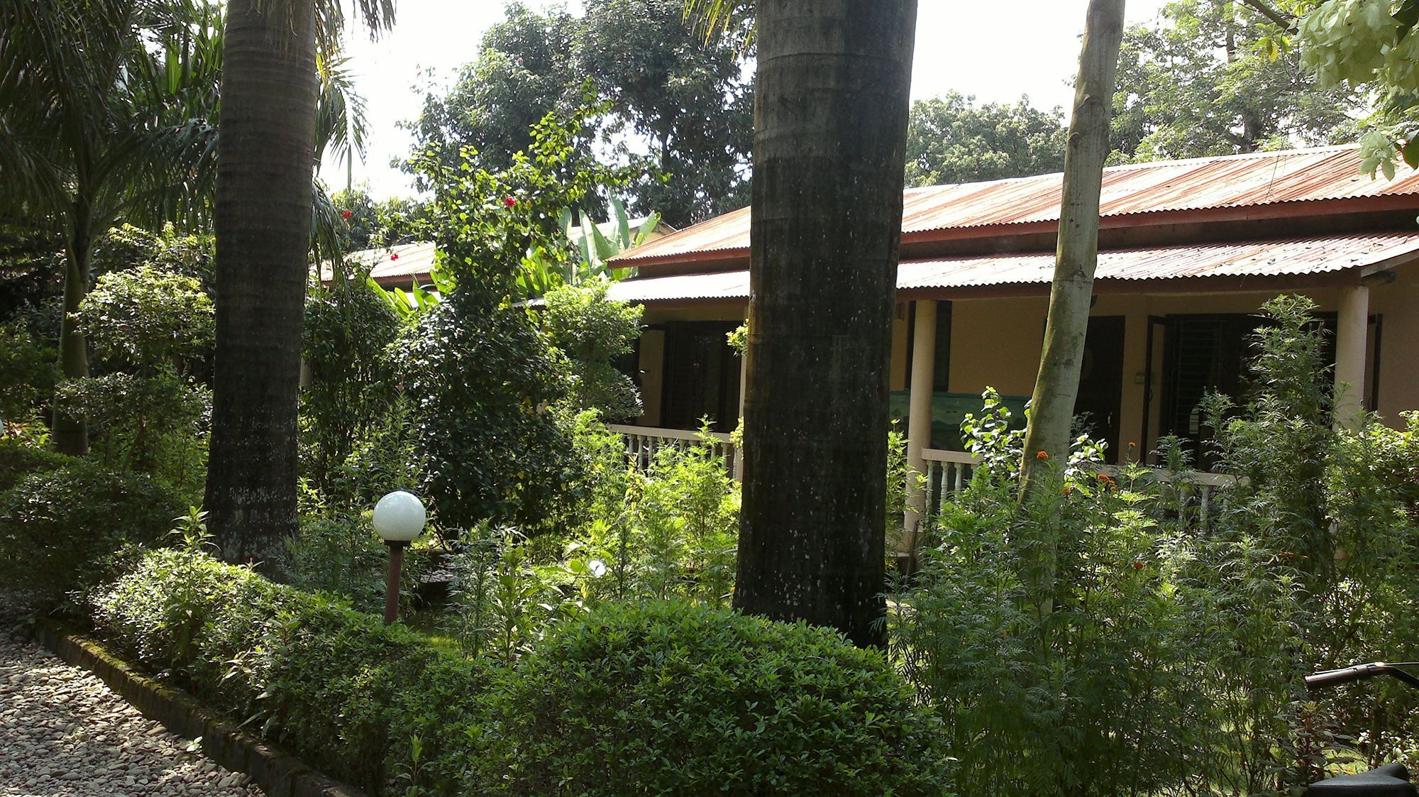 Ama Garden Sauraha Hotel Bagian luar foto