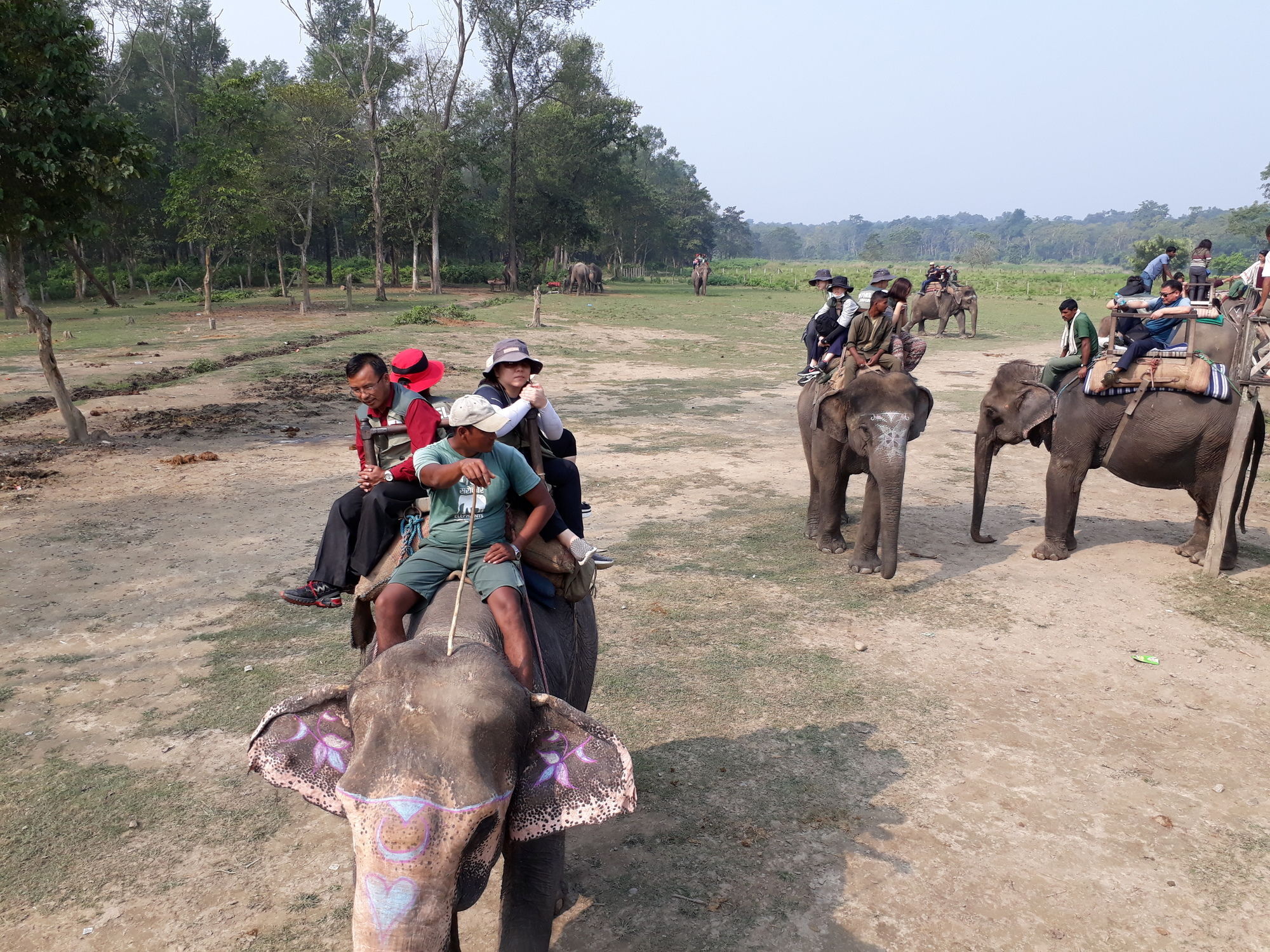Ama Garden Sauraha Hotel Bagian luar foto