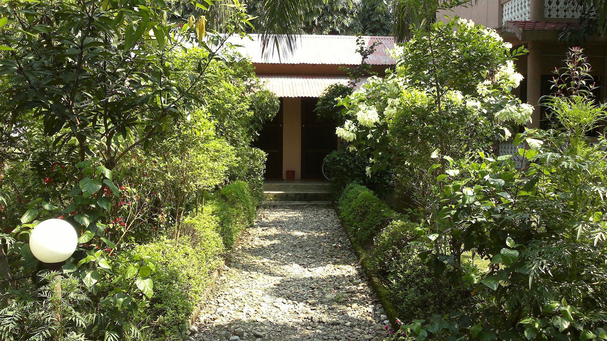 Ama Garden Sauraha Hotel Bagian luar foto