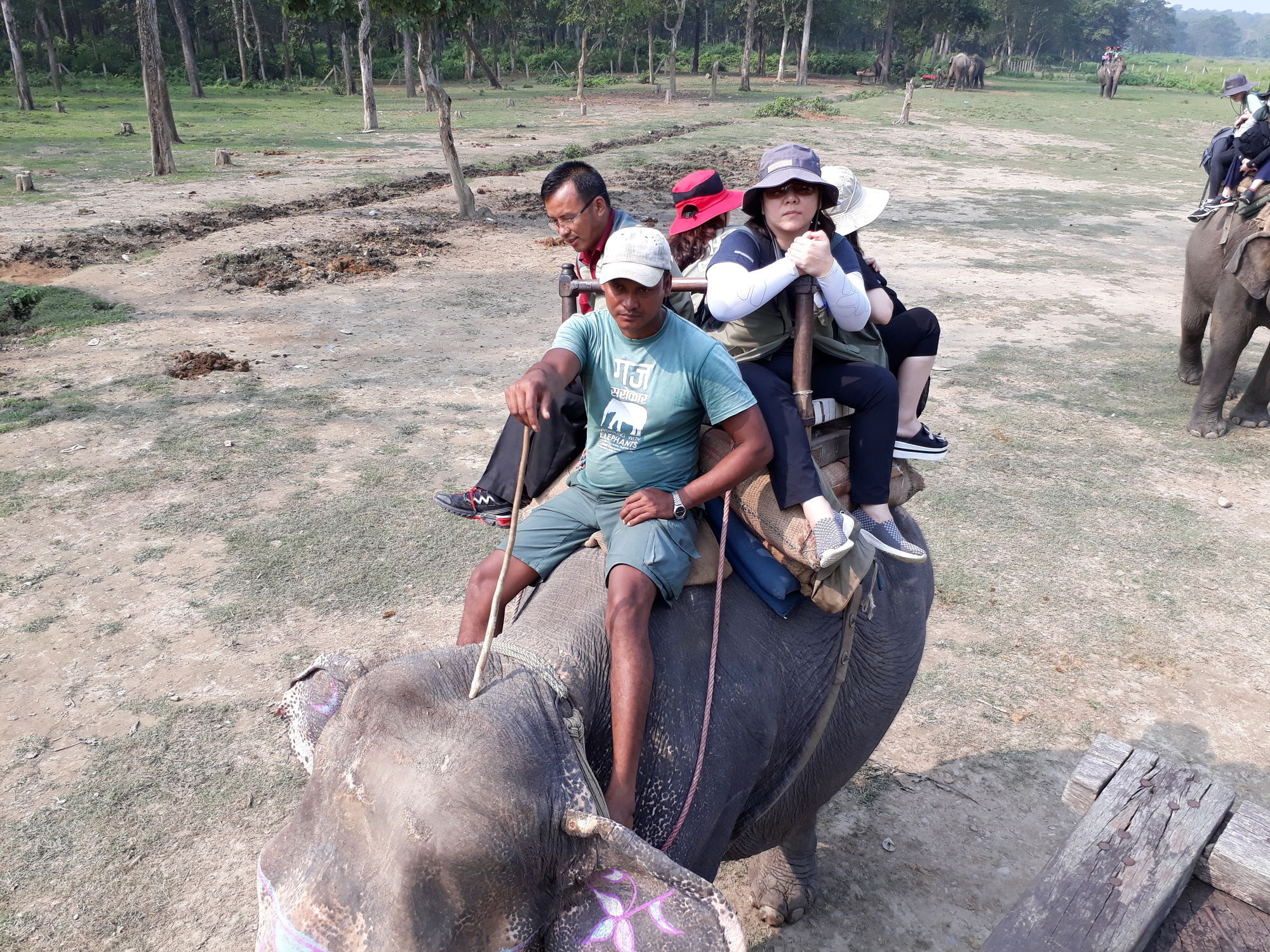Ama Garden Sauraha Hotel Bagian luar foto
