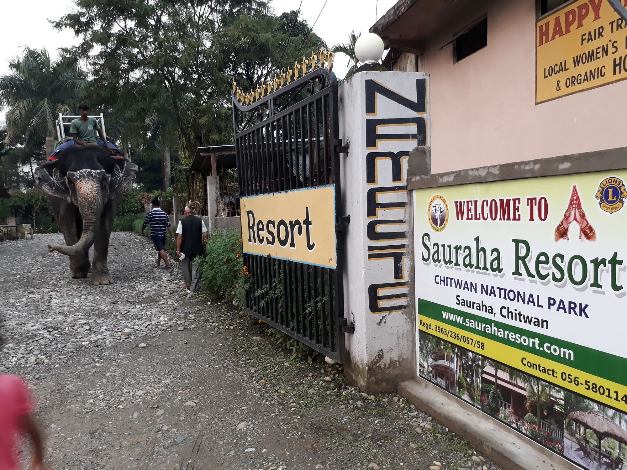 Ama Garden Sauraha Hotel Bagian luar foto