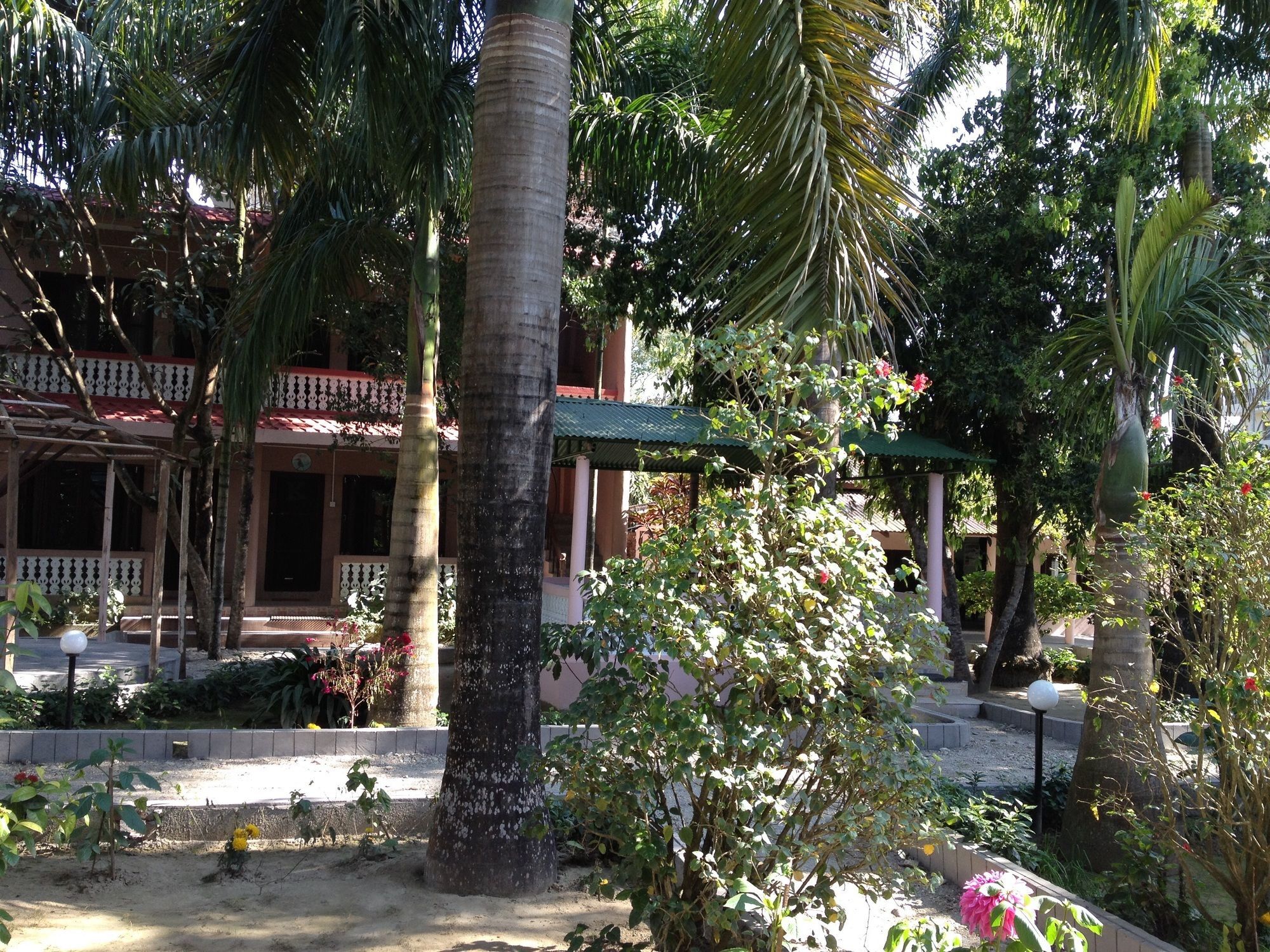 Ama Garden Sauraha Hotel Bagian luar foto