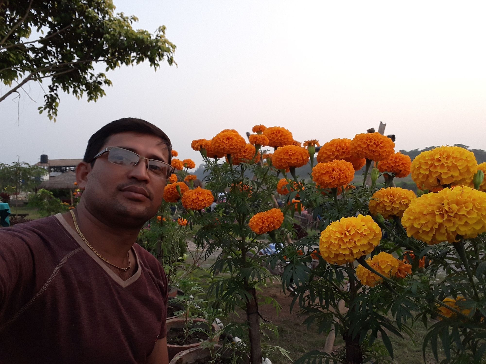 Ama Garden Sauraha Hotel Bagian luar foto