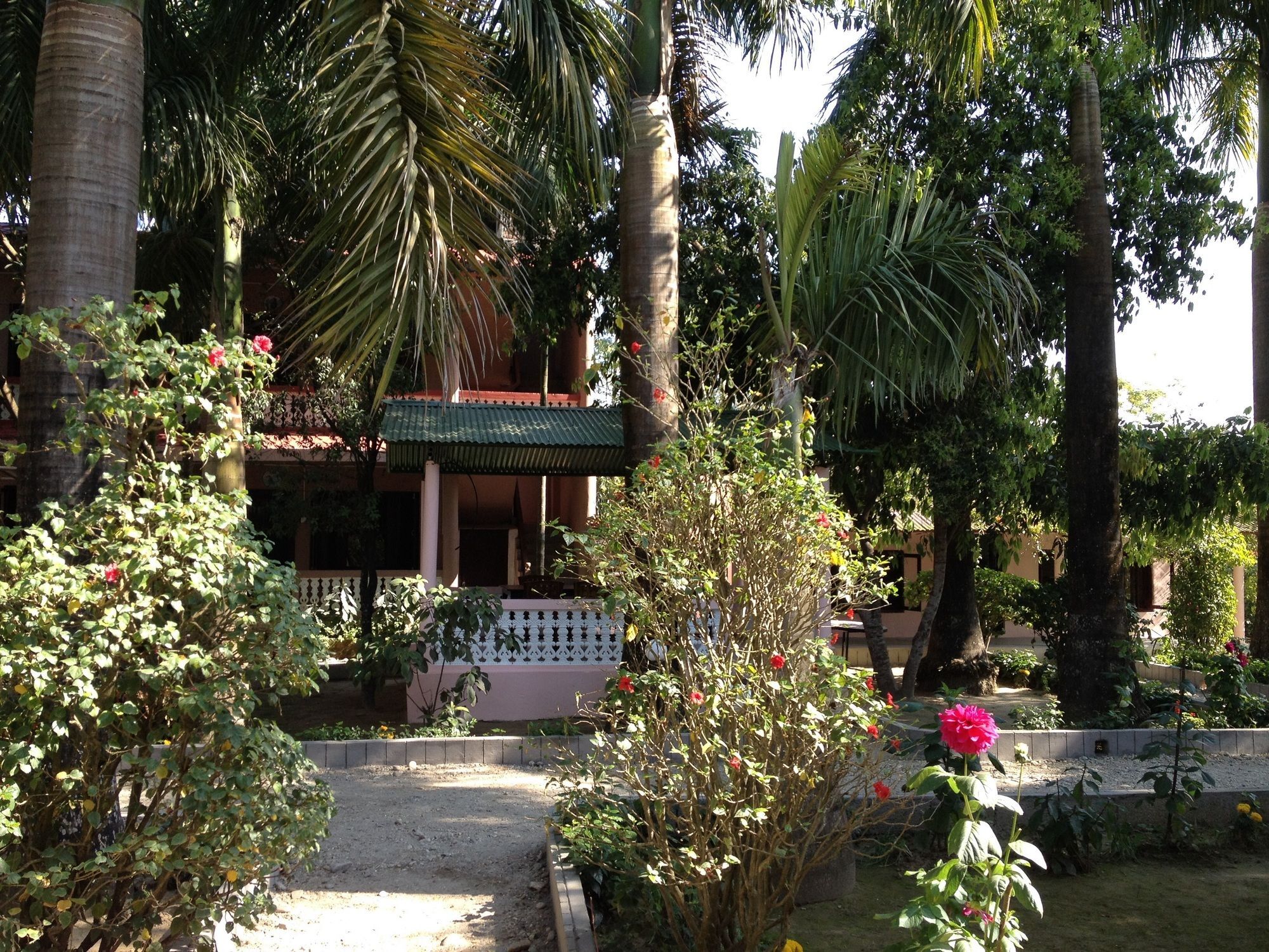 Ama Garden Sauraha Hotel Bagian luar foto