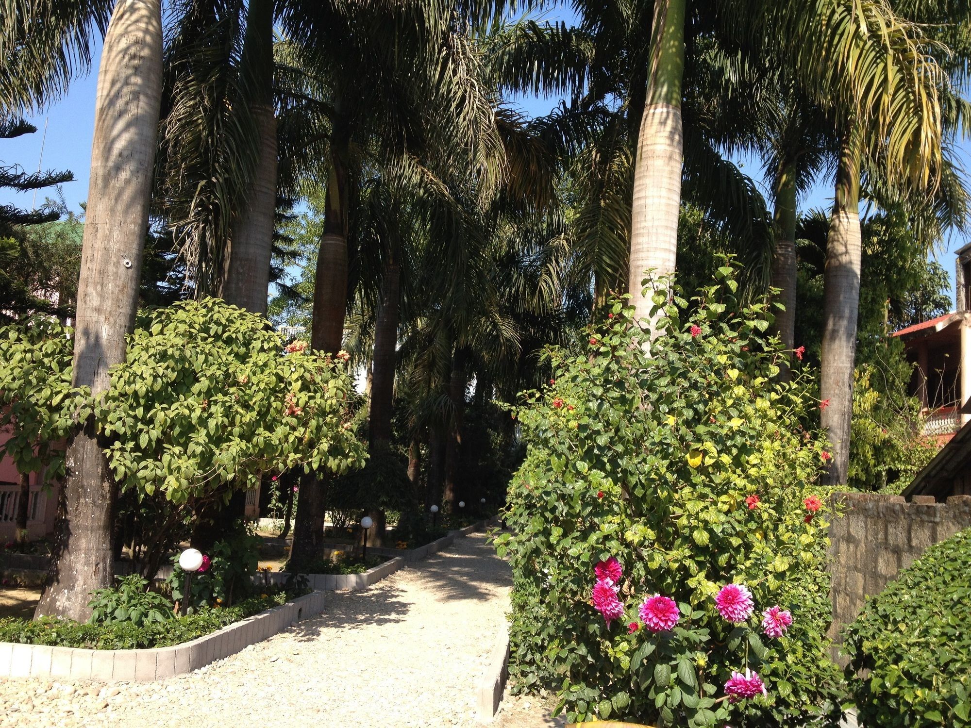 Ama Garden Sauraha Hotel Bagian luar foto