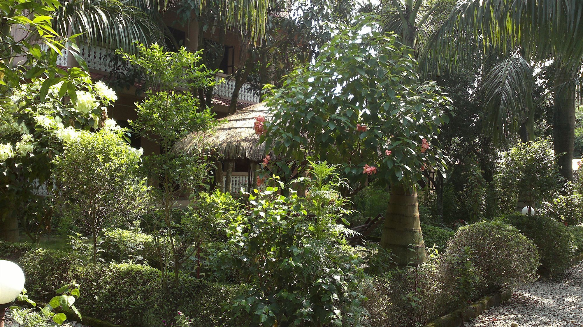 Ama Garden Sauraha Hotel Bagian luar foto