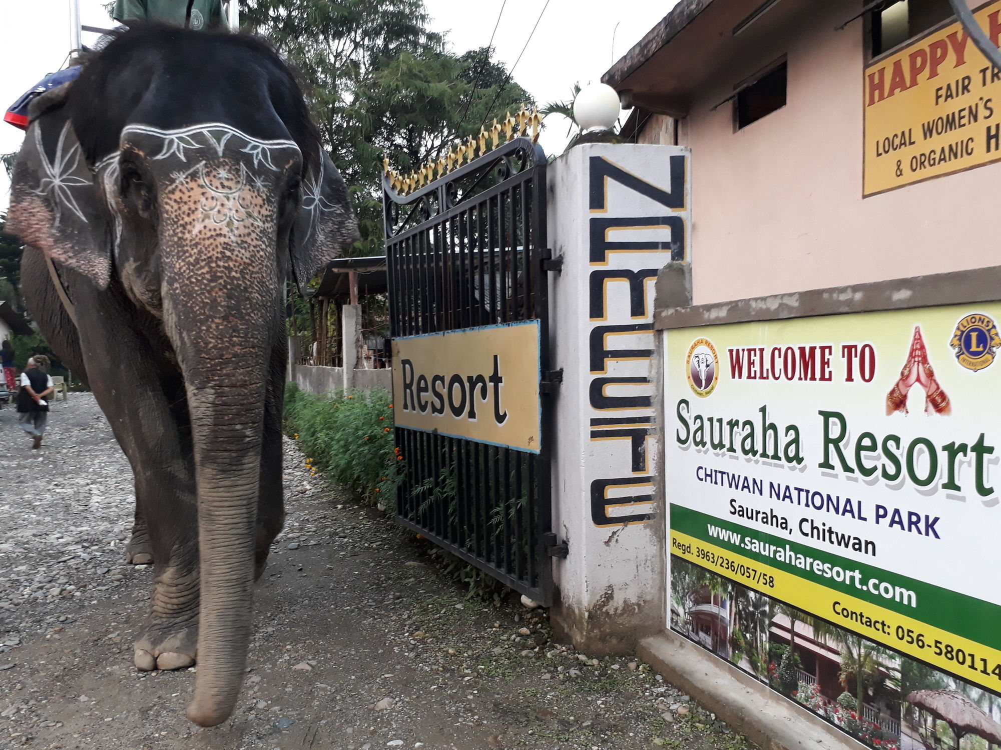 Ama Garden Sauraha Hotel Bagian luar foto