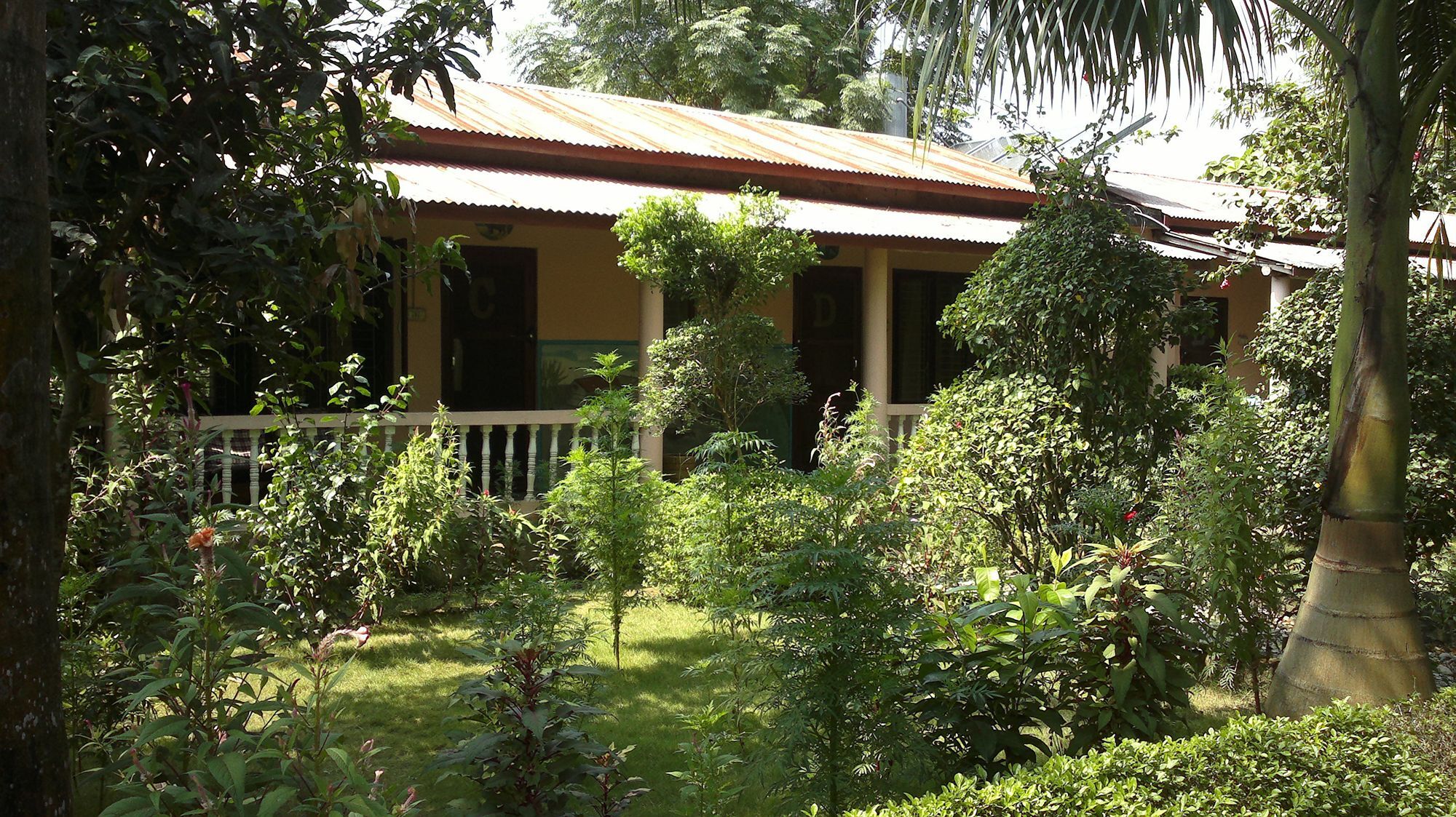 Ama Garden Sauraha Hotel Bagian luar foto