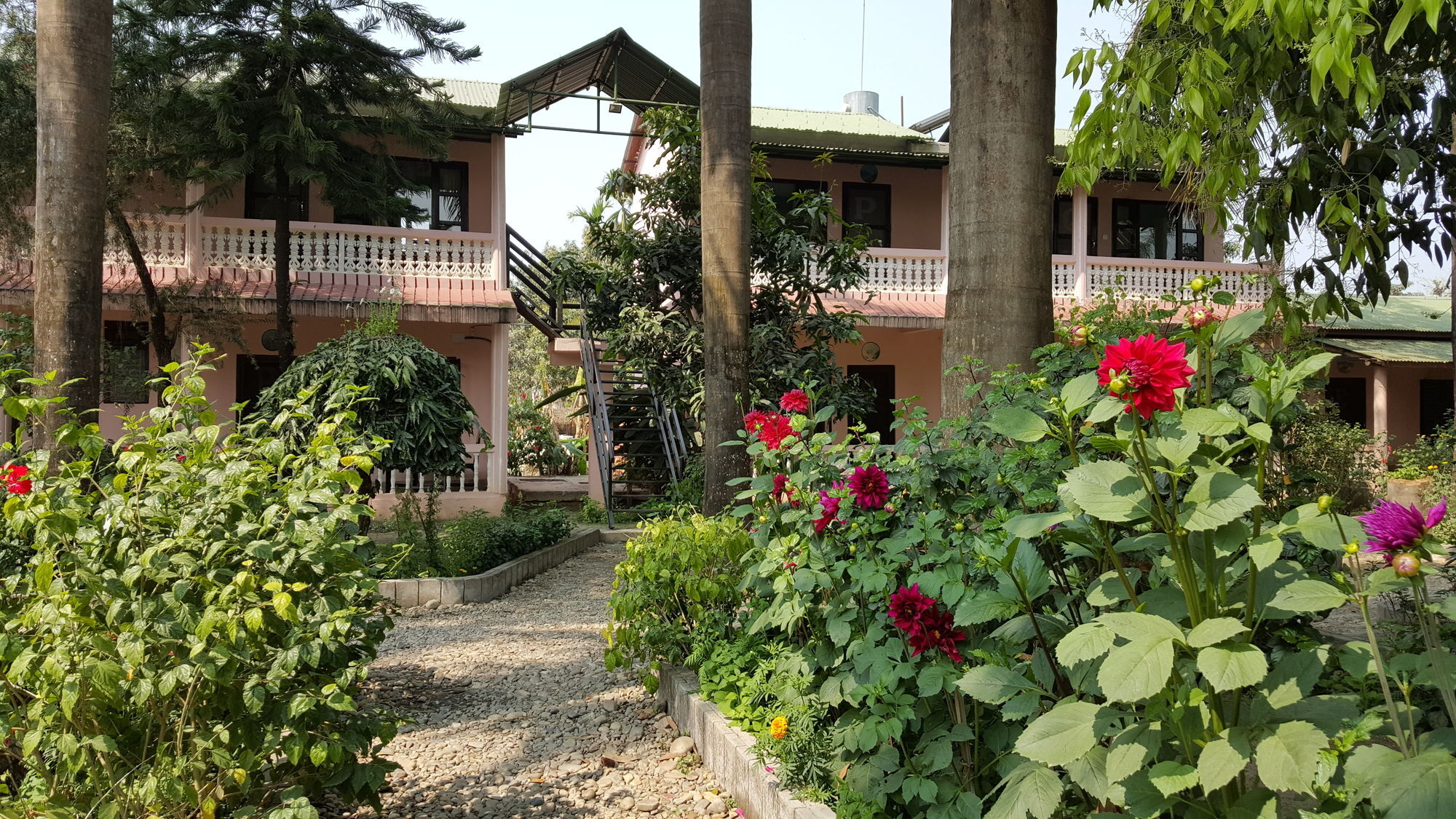 Ama Garden Sauraha Hotel Bagian luar foto